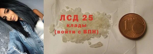 спиды Гусев
