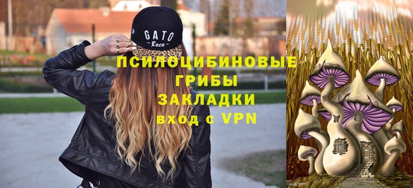 спиды Гусев