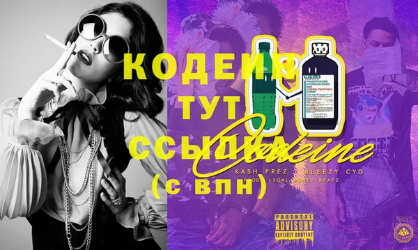 спиды Гусев