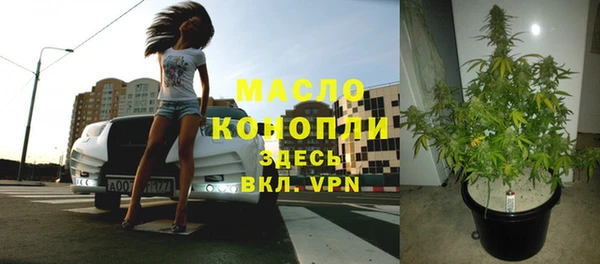 спиды Гусев