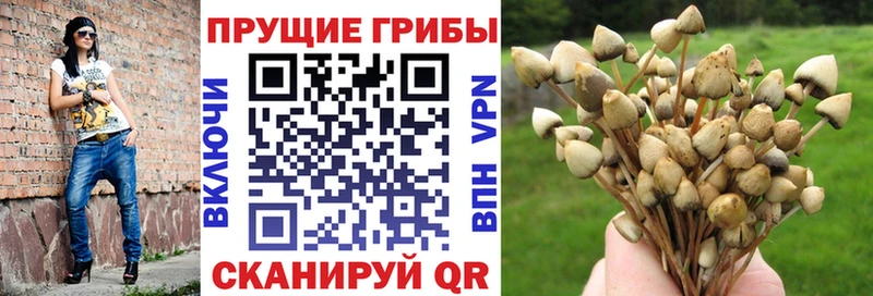 hydra tor  Шахты  Псилоцибиновые грибы мицелий  наркотики 